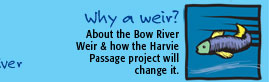 Why a weir?